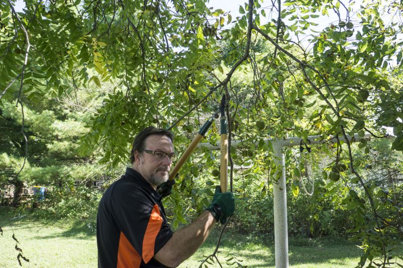 Contact About Tree And Shrub Maintenance