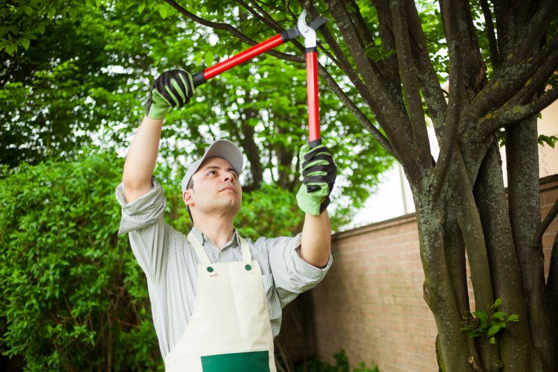 Branches Pruning in Aiken, SC