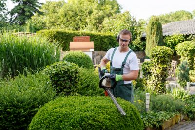 Tree And Shrub Maintenance