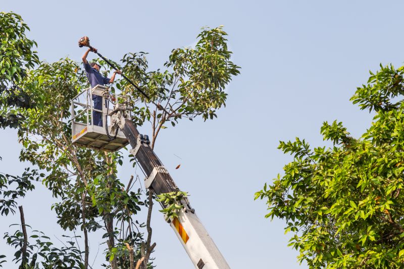 Tree Pruning