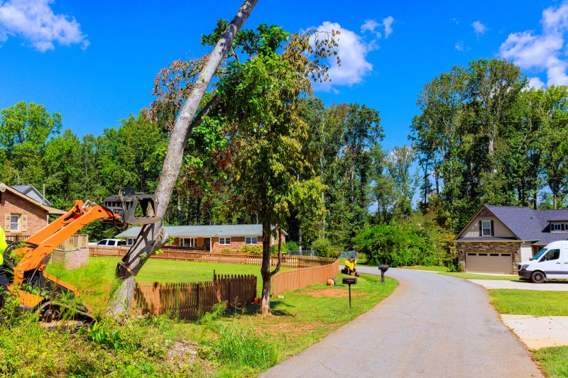 Emergency Tree Removal in Aiken, SC