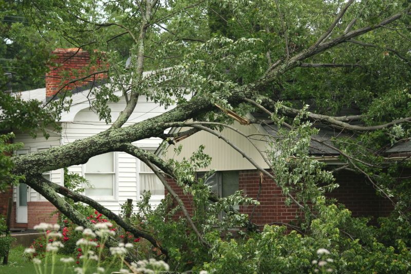 Fallen Tree Removal in Bucks County, PA