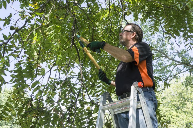 Tree And Shrub Maintenance detail